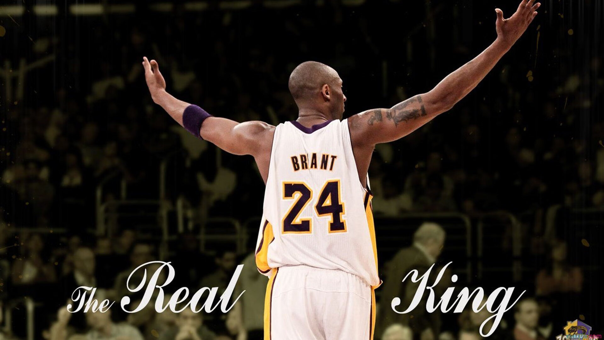 篮球少年点燃中国体育的激情，篮球少年点燃中国体育的激情是第几集