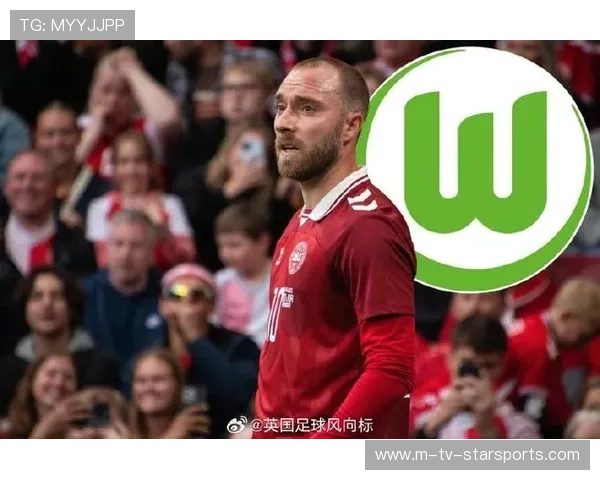 埃里克森加盟德甲，狼堡签下经验中场，埃里克森在哪队