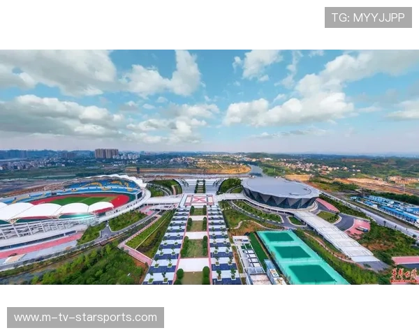 体育产业中的技术标准制定与国际化协同效应